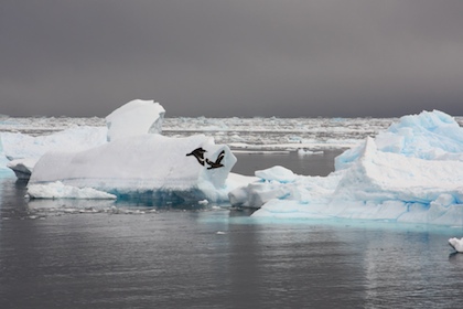 In Flight