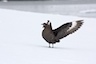 AA1R3948