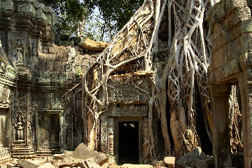 Doorway From the Past
