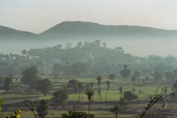 Misty Morning