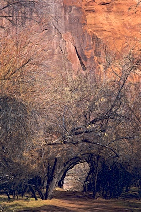 Canyon de Chelley