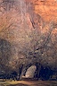 SW1A0003