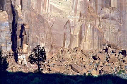 Tree and Butte