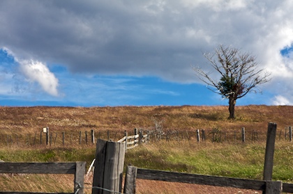 Estancia Harberton